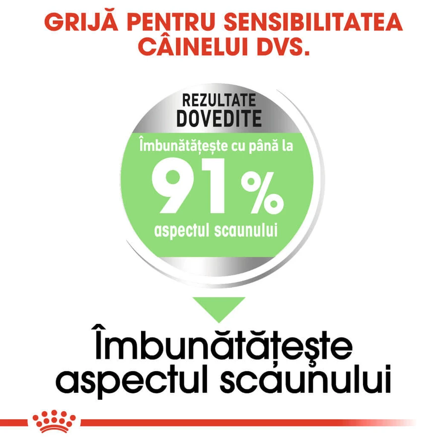 ROYAL CANIN Medium Digestive Care, droogvoer voor honden, voor een gezonde spijsvertering, 3 kg