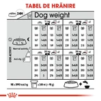 ROYAL CANIN Medium Digestive Care, droogvoer voor honden, voor een gezonde spijsvertering, 3 kg