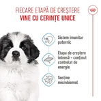 ROYAL CANIN Giant Puppy, croquettes pour chiots, phase 1 de croissance, 3,5 kg