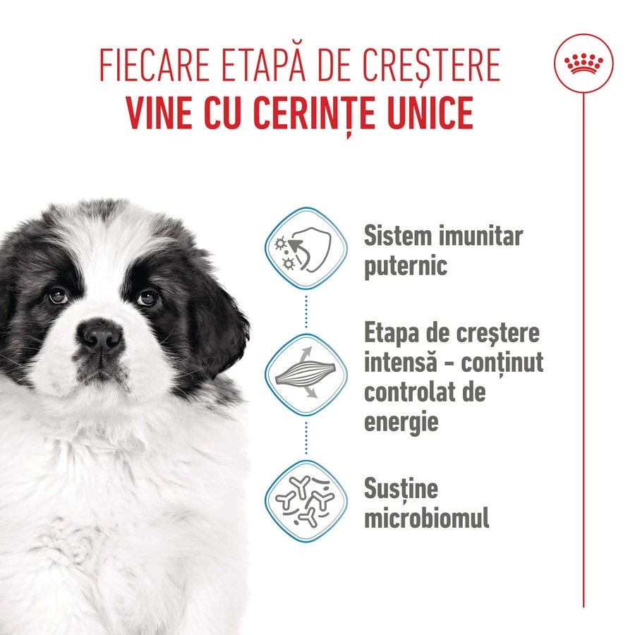 ROYAL CANIN Giant Puppy, croquettes pour chiots, phase 1 de croissance, 3,5 kg