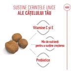 ROYAL CANIN Giant Puppy, croquettes pour chiots, phase 1 de croissance, 3,5 kg