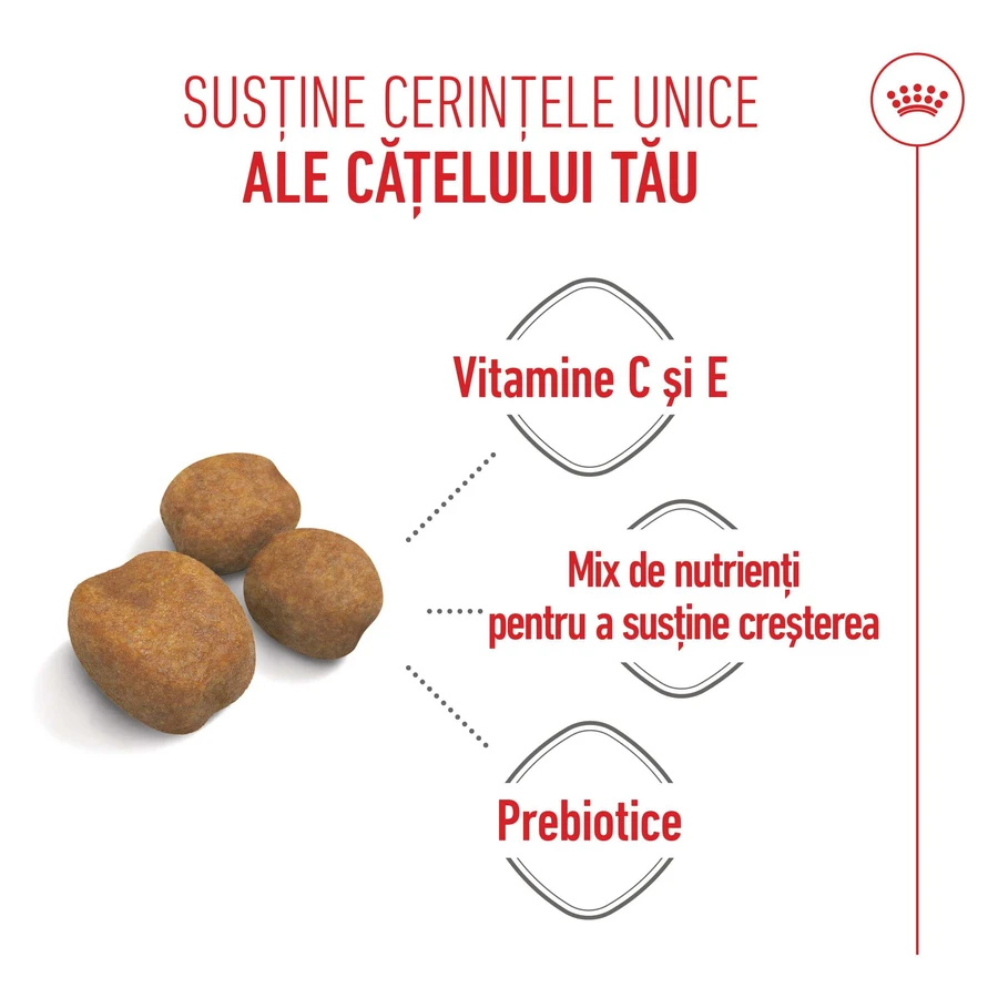 ROYAL CANIN Giant Puppy, croquettes pour chiots, phase 1 de croissance, 3,5 kg