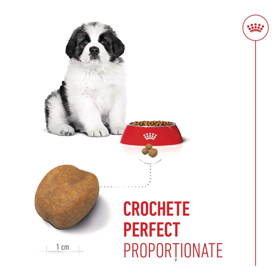 ROYAL CANIN Giant Puppy, croquettes pour chiots, phase 1 de croissance, 3,5 kg