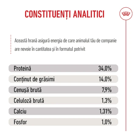 ROYAL CANIN Giant Puppy, croquettes pour chiots, phase 1 de croissance, 3,5 kg