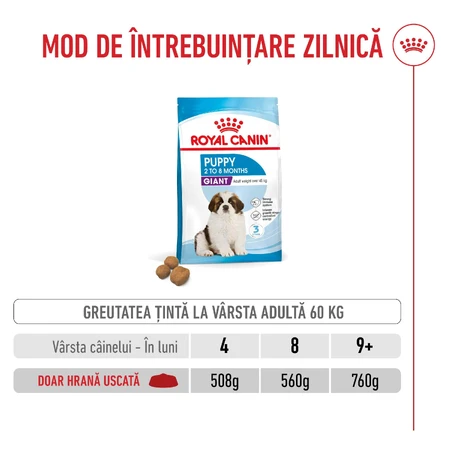 ROYAL CANIN Giant Puppy, croquettes pour chiots, phase 1 de croissance, 3,5 kg