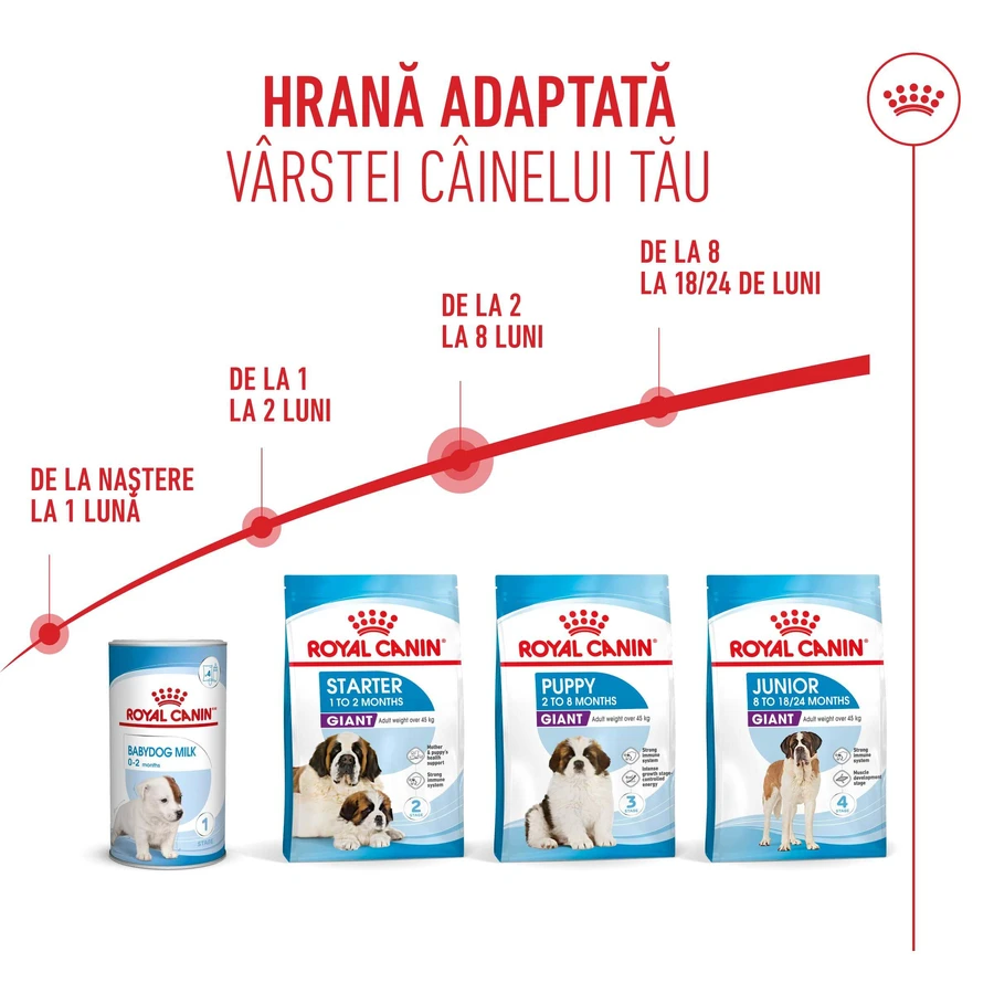 ROYAL CANIN Giant Puppy, croquettes pour chiots, phase 1 de croissance, 3,5 kg
