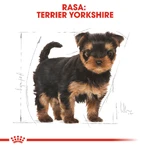 ROYAL CANIN Yorkshire Puppy, droogvoer voor jonge honden, 500 g