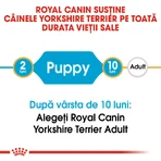 ROYAL CANIN Yorkshire Puppy, droogvoer voor jonge honden, 500 g
