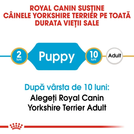 ROYAL CANIN Yorkshire Puppy, droogvoer voor jonge honden, 500 g
