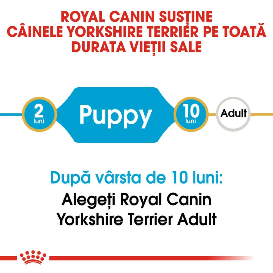 ROYAL CANIN Yorkshire Puppy, droogvoer voor jonge honden, 500 g