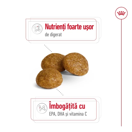 ROYAL CANIN X-Small Adult, croquettes pour chiens adultes, 500 g