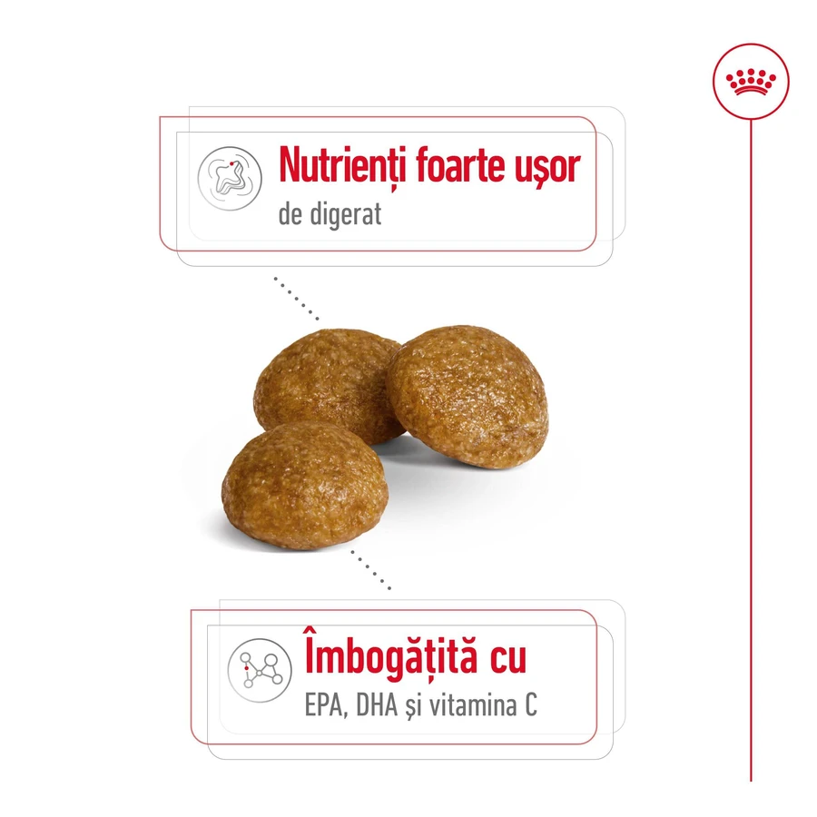 ROYAL CANIN X-Small Adult, croquettes pour chiens adultes, 500 g