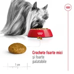 ROYAL CANIN X-Small Adult, croquettes pour chiens adultes, 500 g