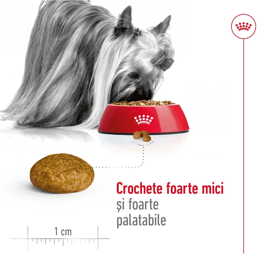 ROYAL CANIN X-Small Adult, croquettes pour chiens adultes, 500 g
