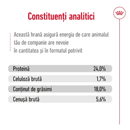 ROYAL CANIN X-Small Adult, croquettes pour chiens adultes, 500 g