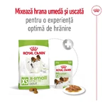 ROYAL CANIN X-Small Adult, croquettes pour chiens adultes, 500 g