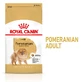 ROYAL CANIN Pomeranian Adult, droogvoer voor honden, 1,5 kg