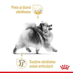 ROYAL CANIN Pomeranian Adult, droogvoer voor honden, 1,5 kg