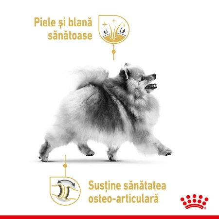 ROYAL CANIN Pomeranian Adult, droogvoer voor honden, 1,5 kg