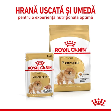 ROYAL CANIN Pomeranian Adult, droogvoer voor honden, 1,5 kg