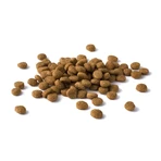 PURINA Dog Chow Puppy M, Huhn, Trockenfutter für junge Hunde, 2,5 kg