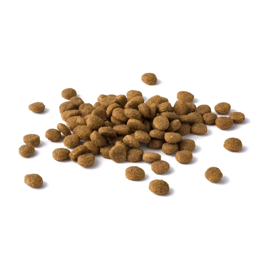 PURINA Dog Chow Puppy M, Huhn, Trockenfutter für junge Hunde, 2,5 kg