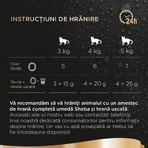 SHEBA Perfect Portions, atún, bandejas de comida húmeda para gatos (en salsa), paquete múltiple, 37,5 g x 6