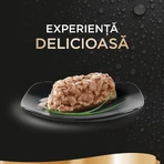 SHEBA Perfect Portions, atún, bandejas de comida húmeda para gatos (en salsa), paquete múltiple, 37,5 g x 6