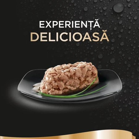 SHEBA Perfect Portions, atún, bandejas de comida húmeda para gatos (en salsa), paquete múltiple, 37,5 g x 6