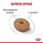ROYAL CANIN Mini Light Weight Care Adult, pienso seco para perros, para el control del peso, 1 kg