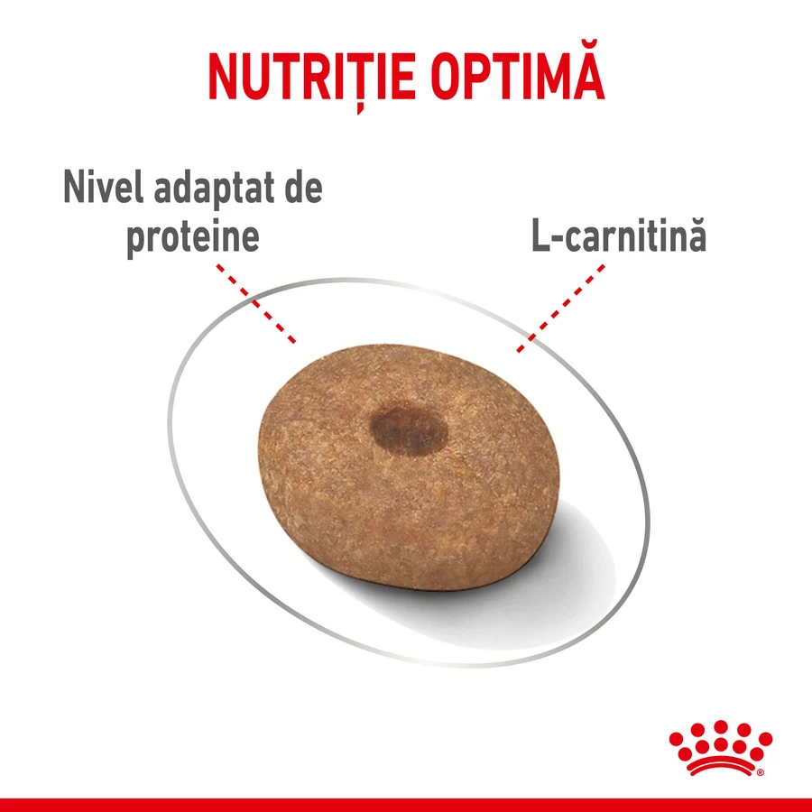 ROYAL CANIN Mini Light Weight Care Adult, pienso seco para perros, para el control del peso, 1 kg