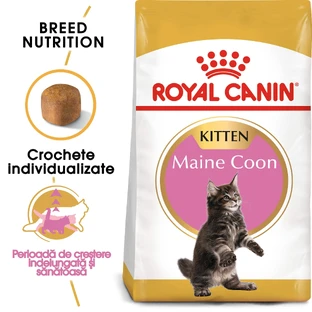ROYAL CANIN Maine Coon Kitten, pienso seco para gatitos, 2 kg