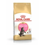 ROYAL CANIN Maine Coon Kitten, pienso seco para gatitos, 2 kg