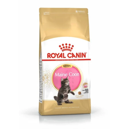 ROYAL CANIN Maine Coon Kitten, pienso seco para gatitos, 2 kg