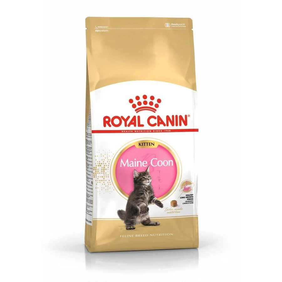 ROYAL CANIN Maine Coon Kitten, pienso seco para gatitos, 2 kg