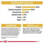 ROYAL CANIN Maine Coon Kitten, pienso seco para gatitos, 2 kg