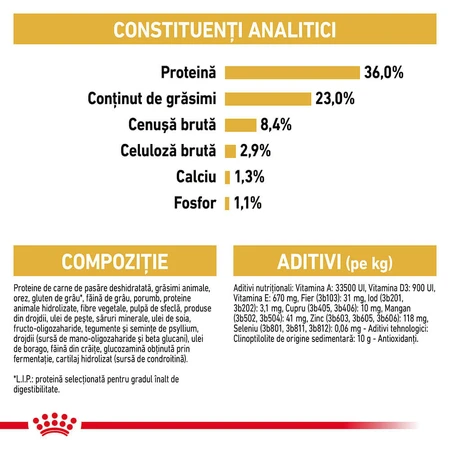 ROYAL CANIN Maine Coon Kitten, pienso seco para gatitos, 2 kg