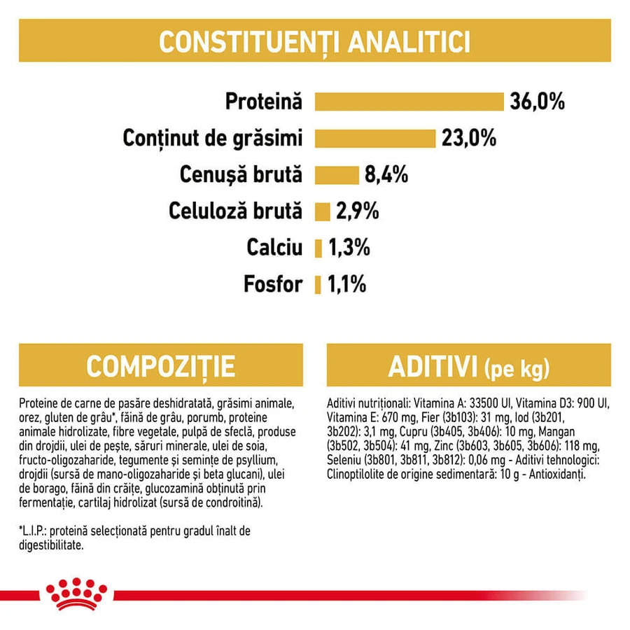 ROYAL CANIN Maine Coon Kitten, pienso seco para gatitos, 2 kg