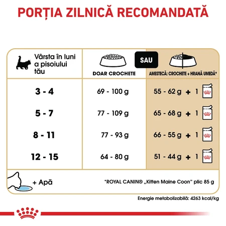 ROYAL CANIN Maine Coon Kitten, pienso seco para gatitos, 2 kg