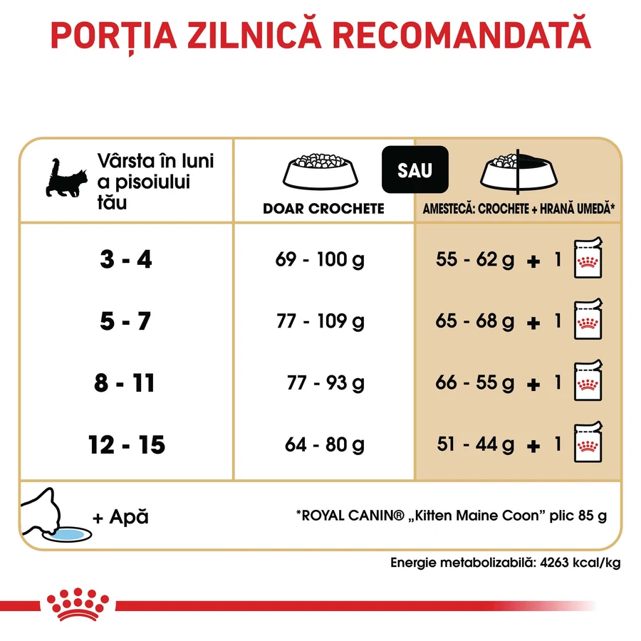 ROYAL CANIN Maine Coon Kitten, pienso seco para gatitos, 2 kg