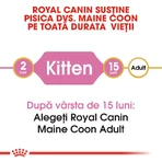 ROYAL CANIN Maine Coon Kitten, pienso seco para gatitos, 2 kg