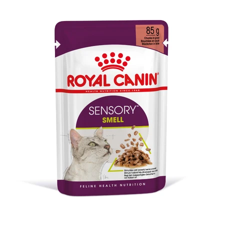 ROYAL CANIN Sensory Smell Nassfutter für Katzen zur Anregung des Geruchssinns (in Soße), Karton, 85 g x 12