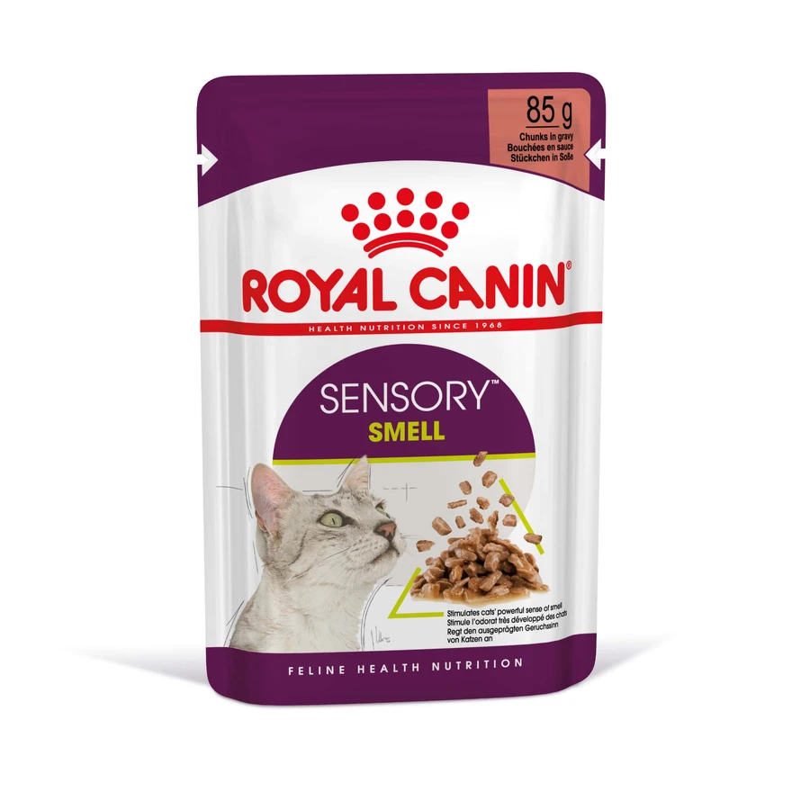ROYAL CANIN Sensory Smell Nassfutter für Katzen zur Anregung des Geruchssinns (in Soße), Karton, 85 g x 12