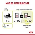 ROYAL CANIN Sensory Smell Nassfutter für Katzen zur Anregung des Geruchssinns (in Soße), Karton, 85 g x 12