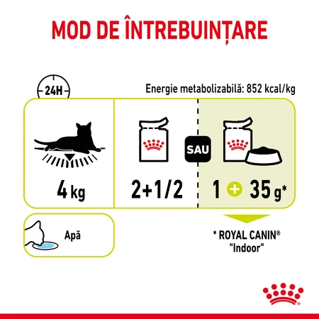 ROYAL CANIN Sensory Smell Nassfutter für Katzen zur Anregung des Geruchssinns (in Soße), Karton, 85 g x 12
