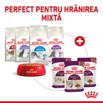 ROYAL CANIN Sensory Smell Nassfutter für Katzen zur Anregung des Geruchssinns (in Soße), Karton, 85 g x 12