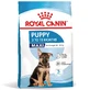 ROYAL CANIN Maxi Puppy, pienso seco para cachorros, 3 kg