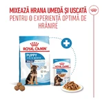 ROYAL CANIN Maxi Puppy, pienso seco para cachorros, 3 kg