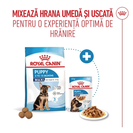 ROYAL CANIN Maxi Puppy, pienso seco para cachorros, 3 kg