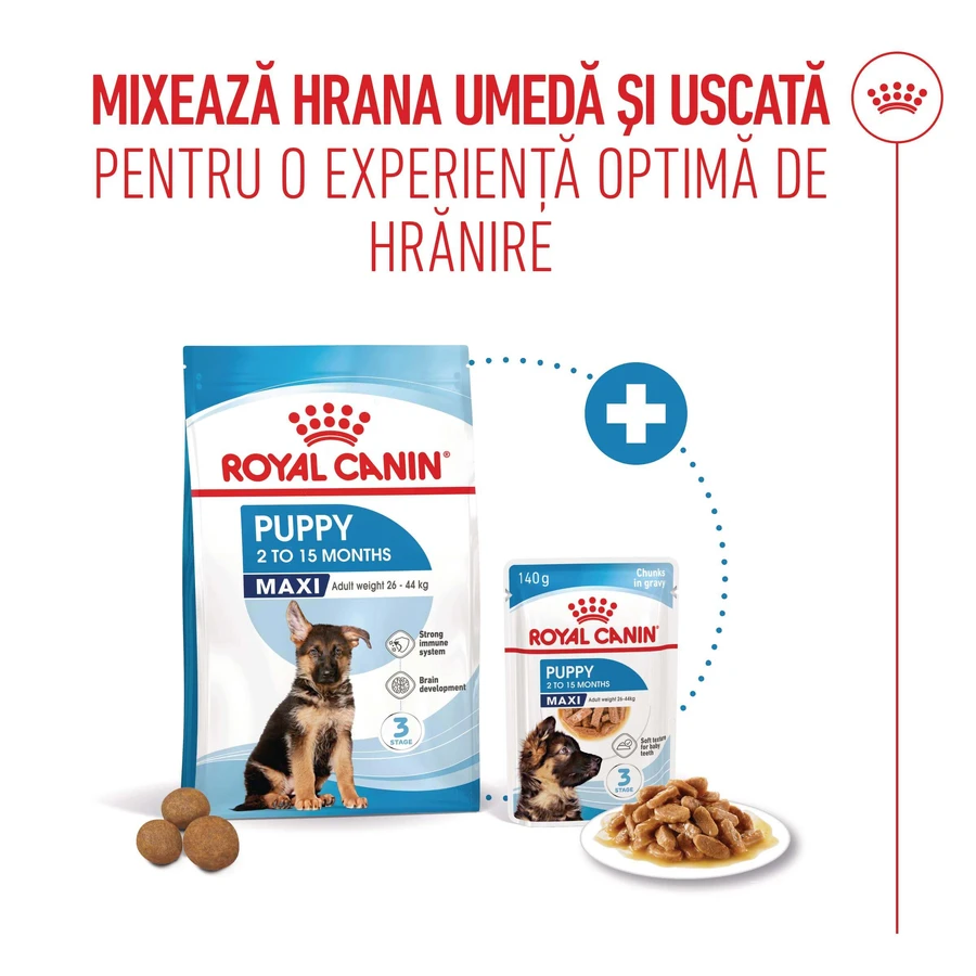 ROYAL CANIN Maxi Puppy, pienso seco para cachorros, 3 kg